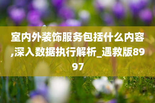 室内外装饰服务包括什么内容,深入数据执行解析_遇救版8997