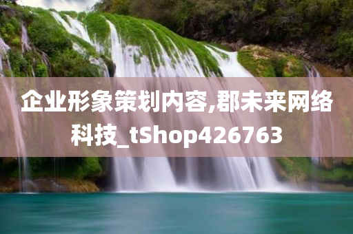 企业形象策划内容,郡未来网络科技_tShop426763