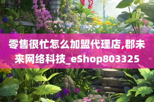 零售很忙怎么加盟代理店,郡未来网络科技_eShop803325