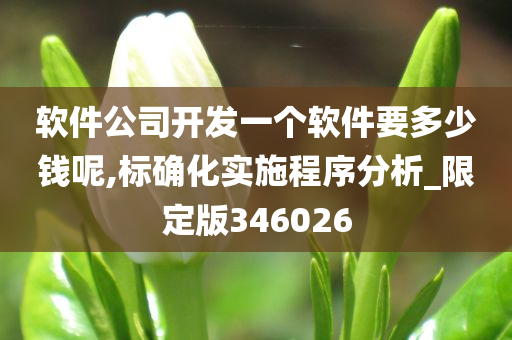 软件公司开发一个软件要多少钱呢,标确化实施程序分析_限定版346026