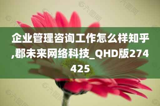 企业管理咨询工作怎么样知乎,郡未来网络科技_QHD版274425