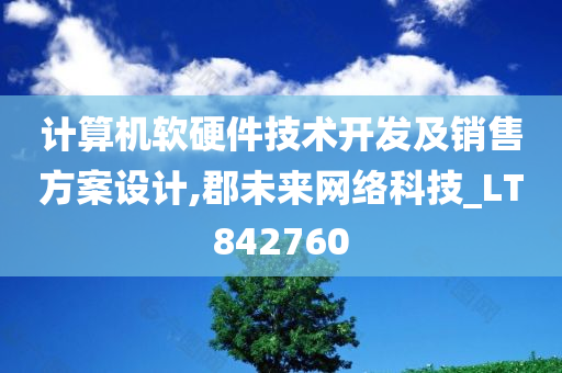 计算机软硬件技术开发及销售方案设计,郡未来网络科技_LT842760