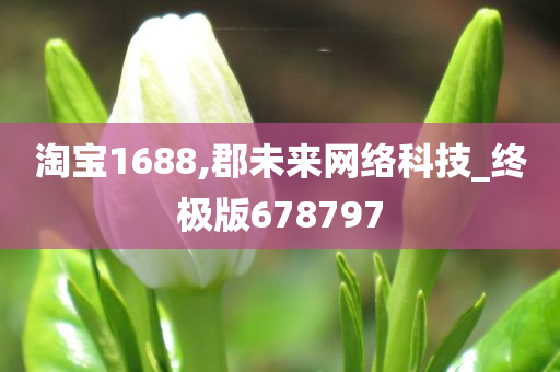 淘宝1688,郡未来网络科技_终极版678797