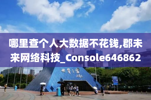 哪里查个人大数据不花钱,郡未来网络科技_Console646862