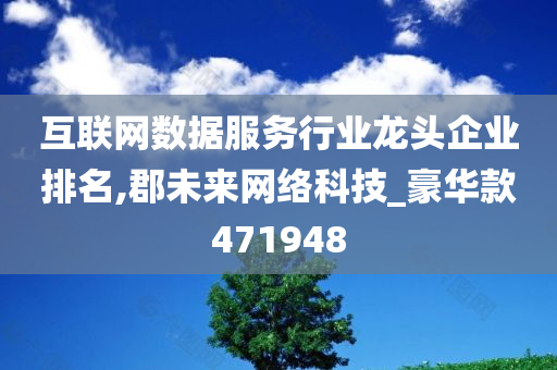 互联网数据服务行业龙头企业排名,郡未来网络科技_豪华款471948