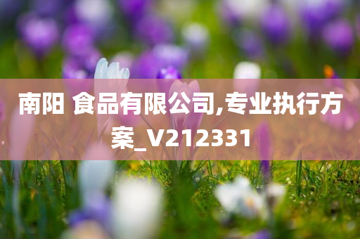 南阳 食品有限公司,专业执行方案_V212331