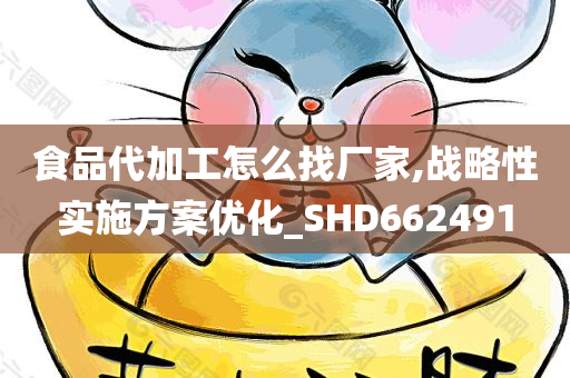 食品代加工怎么找厂家,战略性实施方案优化_SHD662491