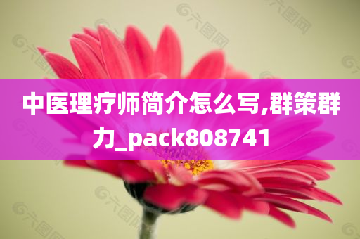 中医理疗师简介怎么写,群策群力_pack808741