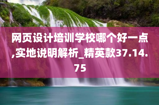 网页设计培训学校哪个好一点,实地说明解析_精英款37.14.75