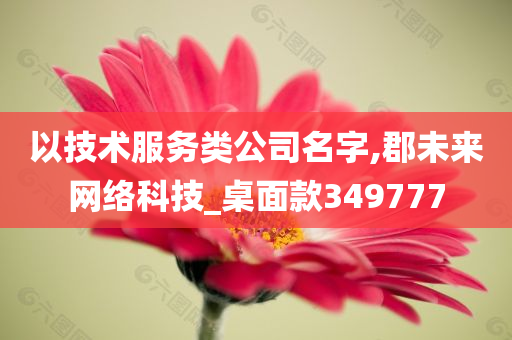 以技术服务类公司名字,郡未来网络科技_桌面款349777