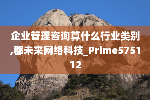 企业管理咨询算什么行业类别,郡未来网络科技_Prime575112