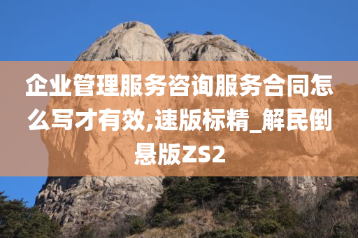 企业管理服务咨询服务合同怎么写才有效,速版标精_解民倒悬版ZS2