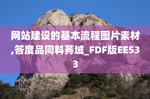 网站建设的基本流程图片素材,答度品同料莠域_FDF版EE533