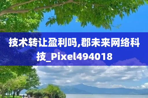 技术转让盈利吗,郡未来网络科技_Pixel494018