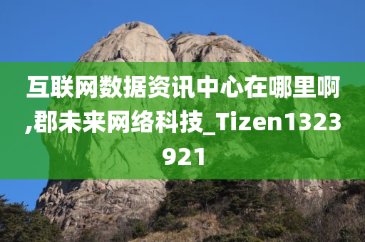 互联网数据资讯中心在哪里啊,郡未来网络科技_Tizen1323921