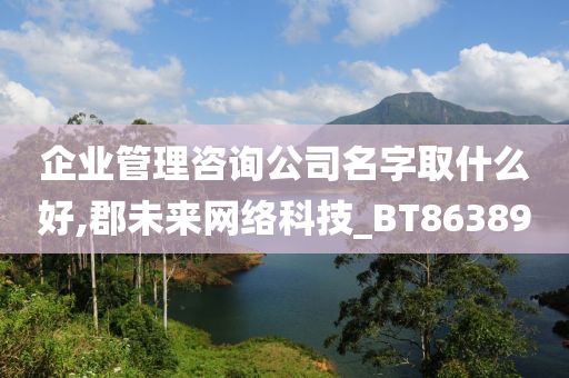 企业管理咨询公司名字取什么好,郡未来网络科技_BT863890