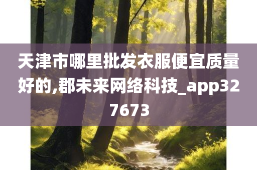 天津市哪里批发衣服便宜质量好的,郡未来网络科技_app327673