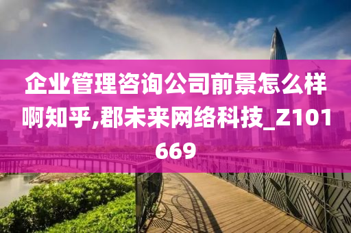 企业管理咨询公司前景怎么样啊知乎,郡未来网络科技_Z101669