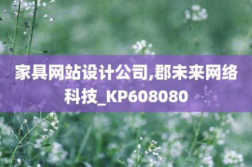 家具网站设计公司,郡未来网络科技_KP608080