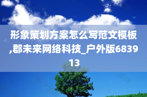 形象策划方案怎么写范文模板,郡未来网络科技_户外版683913