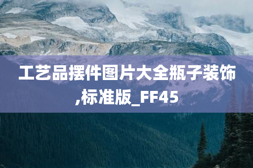 工艺品摆件图片大全瓶子装饰,标准版_FF45