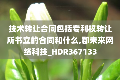 技术转让合同包括专利权转让所书立的合同和什么,郡未来网络科技_HDR367133