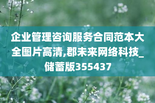 企业管理咨询服务合同范本大全图片高清,郡未来网络科技_储蓄版355437