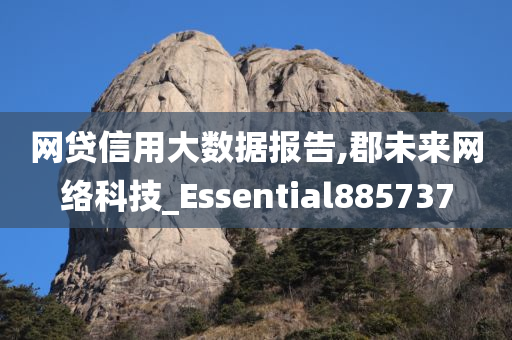 网贷信用大数据报告,郡未来网络科技_Essential885737