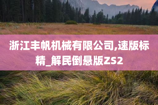 浙江丰帆机械有限公司,速版标精_解民倒悬版ZS2