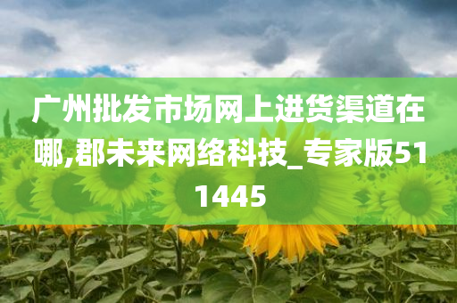 广州批发市场网上进货渠道在哪,郡未来网络科技_专家版511445