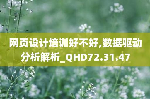 网页设计培训好不好,数据驱动分析解析_QHD72.31.47