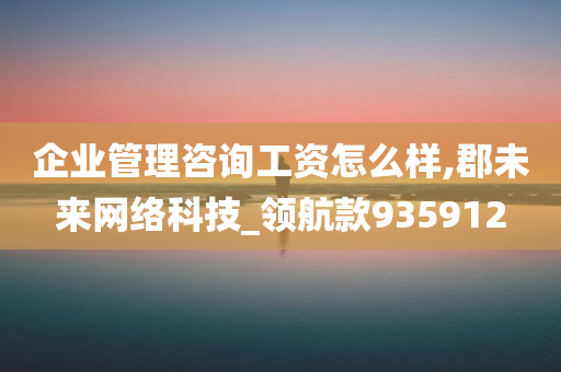 企业管理咨询工资怎么样,郡未来网络科技_领航款935912