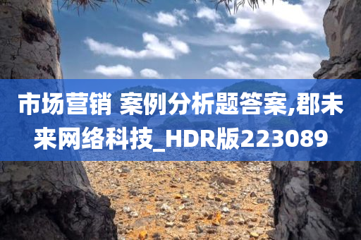 市场营销 案例分析题答案,郡未来网络科技_HDR版223089