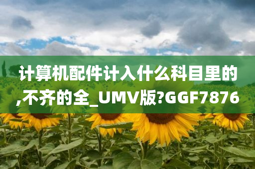 计算机配件计入什么科目里的,不齐的全_UMV版?GGF7876