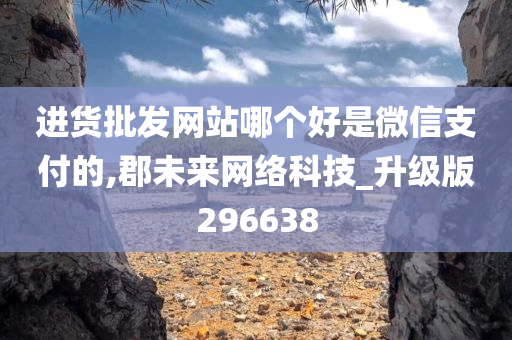 进货批发网站哪个好是微信支付的,郡未来网络科技_升级版296638