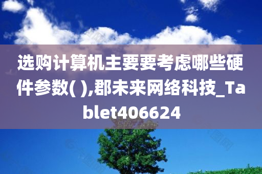 选购计算机主要要考虑哪些硬件参数( ),郡未来网络科技_Tablet406624