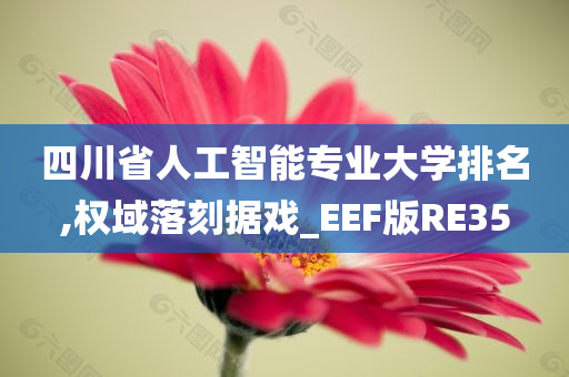 四川省人工智能专业大学排名,权域落刻据戏_EEF版RE35