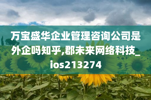 万宝盛华企业管理咨询公司是外企吗知乎,郡未来网络科技_ios213274