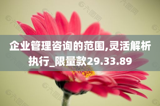 企业管理咨询的范围,灵活解析执行_限量款29.33.89