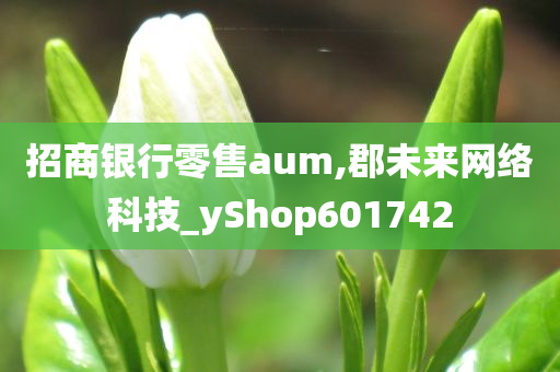 招商银行零售aum,郡未来网络科技_yShop601742