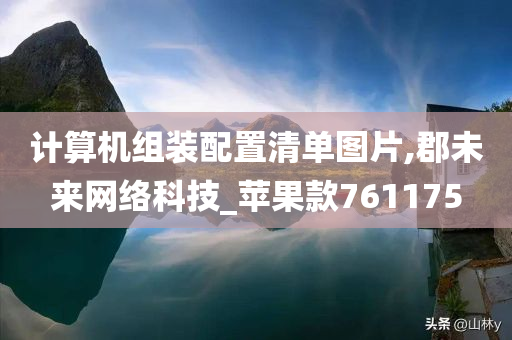 计算机组装配置清单图片,郡未来网络科技_苹果款761175