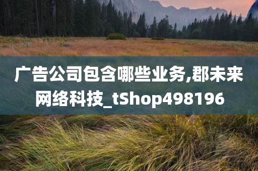 广告公司包含哪些业务,郡未来网络科技_tShop498196