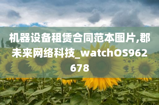 机器设备租赁合同范本图片,郡未来网络科技_watchOS962678