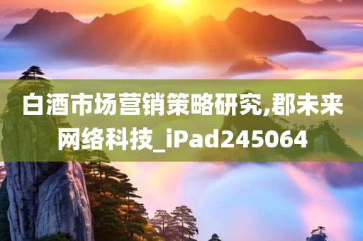 白酒市场营销策略研究,郡未来网络科技_iPad245064