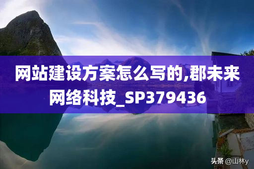 网站建设方案怎么写的,郡未来网络科技_SP379436