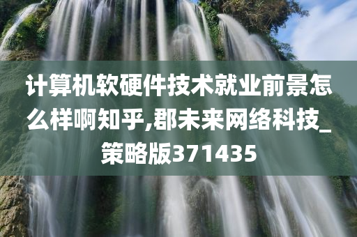 计算机软硬件技术就业前景怎么样啊知乎,郡未来网络科技_策略版371435