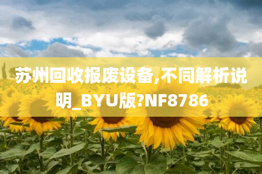 苏州回收报废设备,不同解析说明_BYU版?NF8786