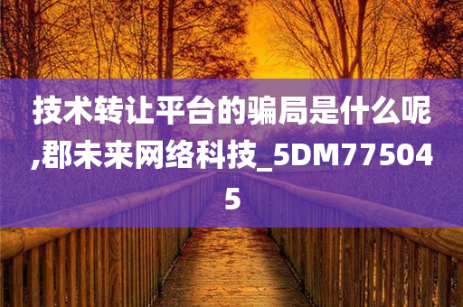 技术转让平台的骗局是什么呢,郡未来网络科技_5DM775045