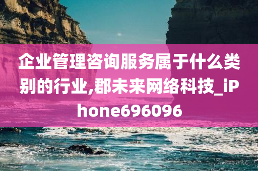 企业管理咨询服务属于什么类别的行业,郡未来网络科技_iPhone696096