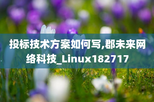 投标技术方案如何写,郡未来网络科技_Linux182717